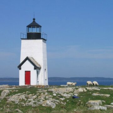 nash island light SQ